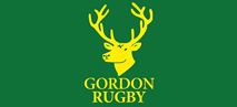 avolve-performance-training-sydney-coaching-gordon-rugby-training